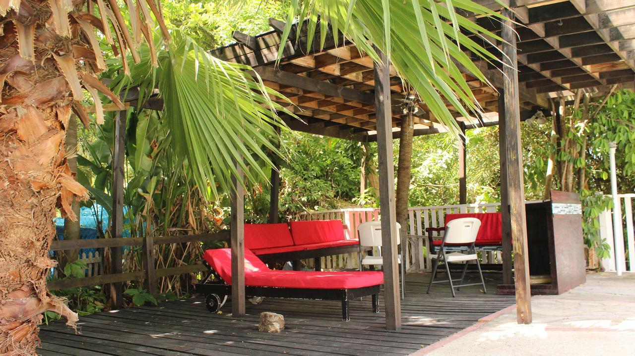 The Artiste'S Boutique By Bohemian Lodges Kingston Exterior photo