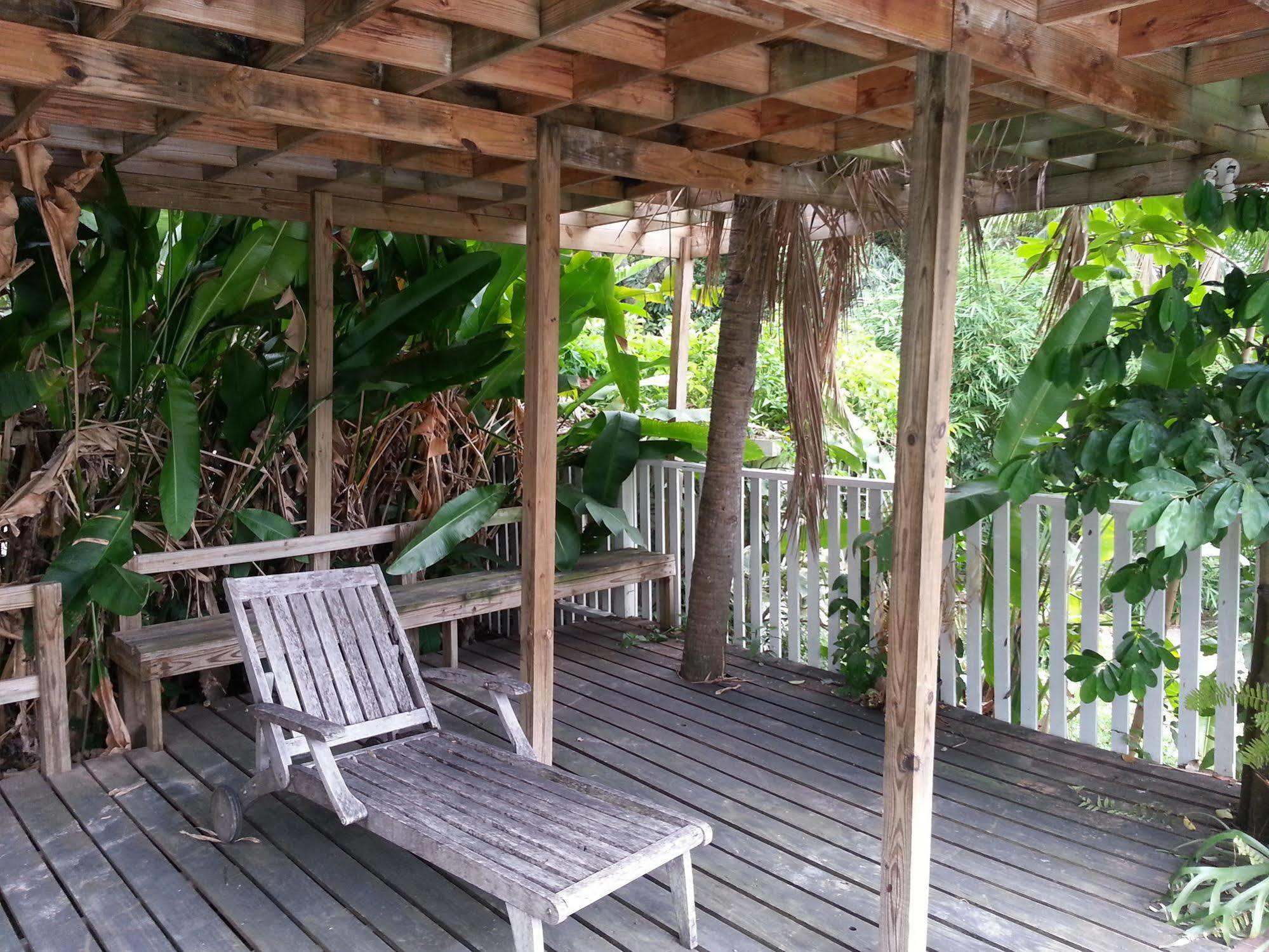 The Artiste'S Boutique By Bohemian Lodges Kingston Exterior photo